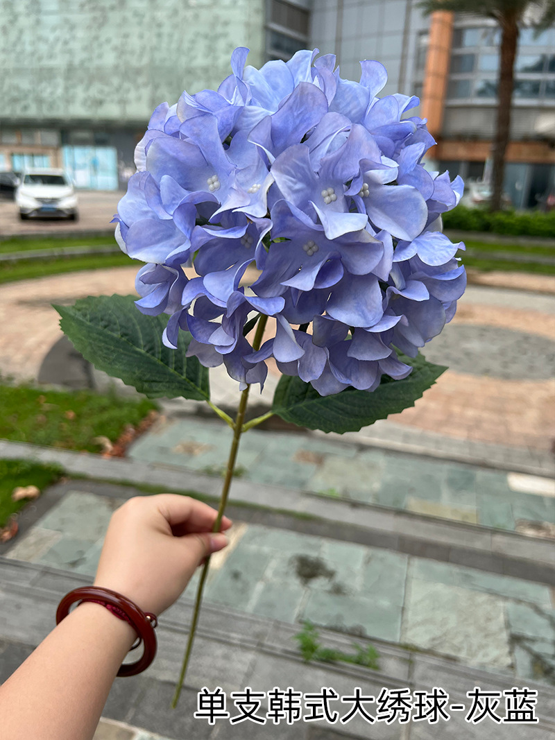 6.单支韩式大绣球-灰蓝