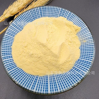 牡蛎肽原料批发 牡蛎低聚肽 小分子活性肽 牡蛎提取物 食品原料