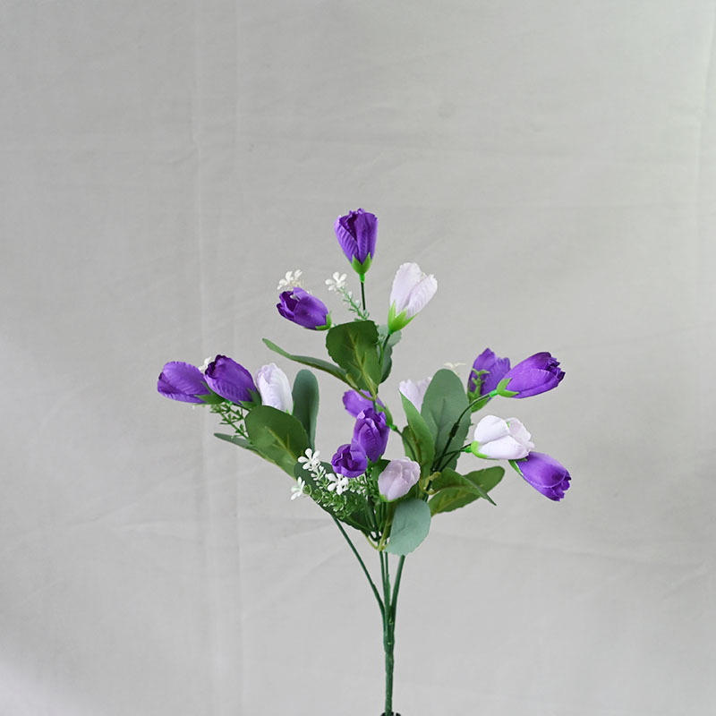 Morado