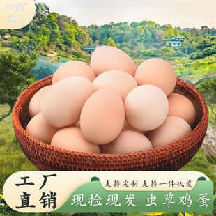 ����x�ݵ����u�����l���]�r��ɢ�B���r�r�����BҰ�Ɀ������