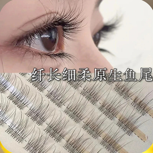 Glue-Free Transparent Fishtail False Eyelashes, Natural Segmentation, Supernatural Single Cluster, Daily Novice, Lazy Person, No Makeup Artificial