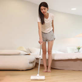 24cm长杆伸缩粘毛器加宽替换装家用床上宠物地板滚筒刷大号除毛刷