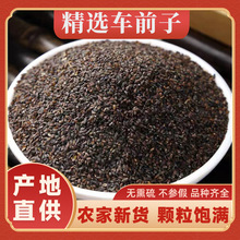 ��ș������܇ǰ����؛܇ǰ���ѳ�������܇ǰ����܇ǰ������ˮ�ݲ�