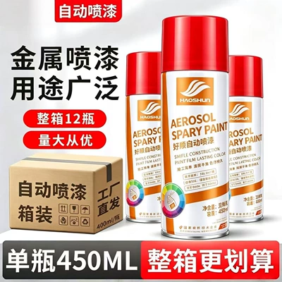 Haoshun Wholesale Box of 12 Large-Capacity Automatic Spray Paint Cans, Hand-Operated Self-Spray Paint, Black and White Graffiti Paint Spray Cans