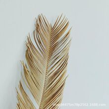 �ɻ����~�F���b��~���쾰���晻���OӋ�b�ɻ�diy���ϱ��W�L��