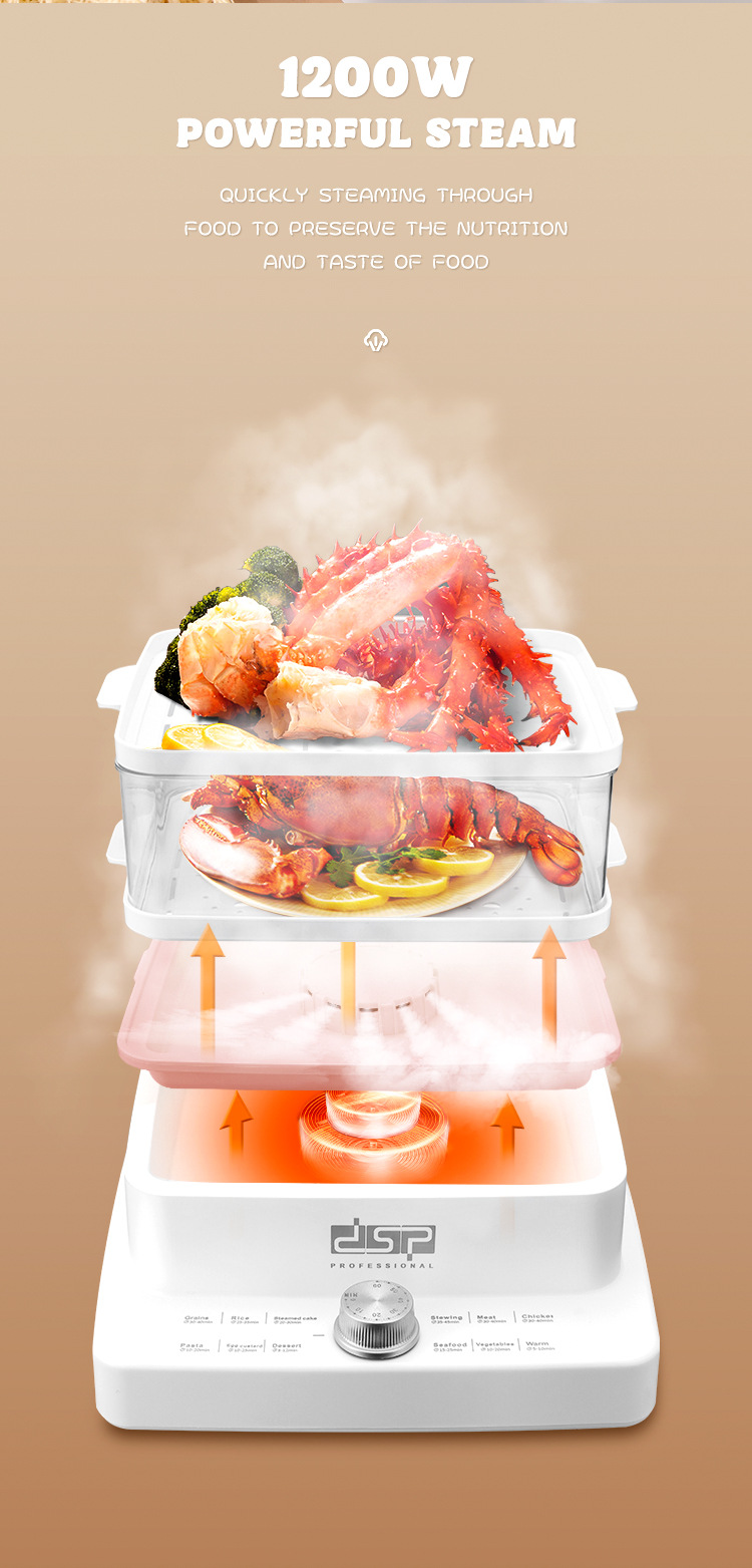 DSP Dan Song Steaming And Cooking All-in-One Small Electric Steamer Basket Household Three-Layer Multi-Function_voghion.com