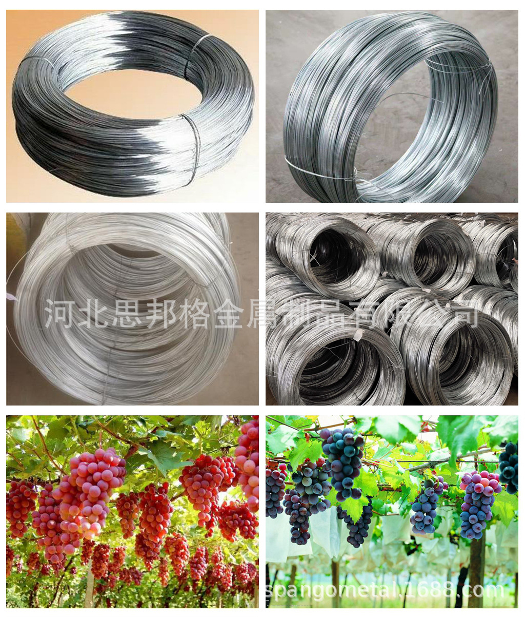 1447527869_242073764_-89761346