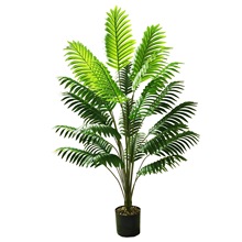 �羳����ֲ���ش�̖ɢβ�����Լ�ֲ���҃ȼ٘�Gֲ�辰�Ꭷ