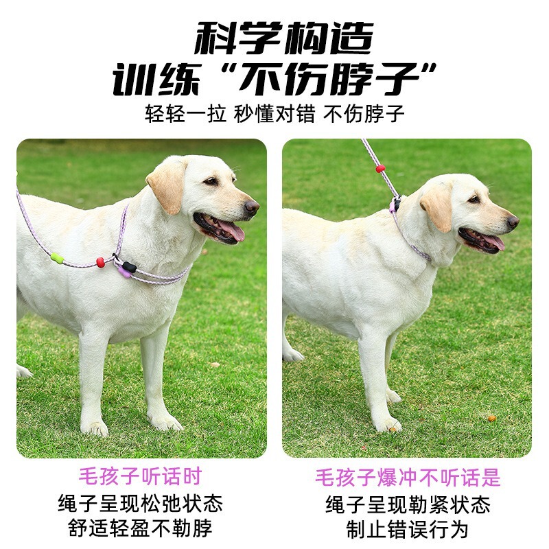 多巴胺狗狗中小型犬双段式多功能防爆冲P绳 金毛狗项圈宠物牵引绳|undefined
