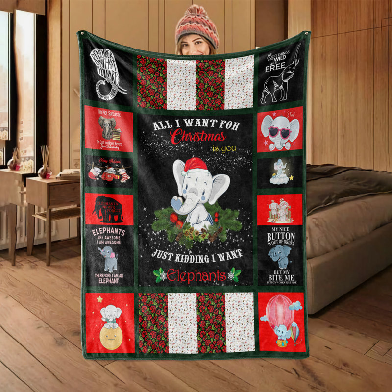 廠家供應(yīng)圣誕節(jié)萬(wàn)圣節(jié)毛毯印花休閑毯子兒童毛毯節(jié)日禮盒禮物禮品