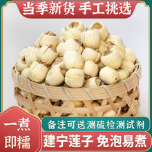 �oѬ����؛��ɏ���w��500g��ɏ�Ӹ�؛�o��ȥоܛŴ��������ɢ�b