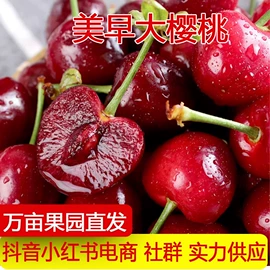 其他水果;梨;哈密瓜