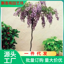 ͥԺ̨Nֲձ໨ٻ^Ȥζɻ_