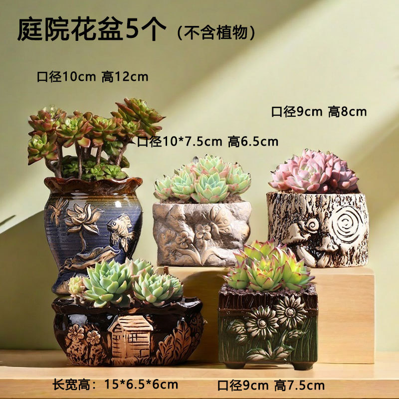 Mo Hei suculentas maceta cerámica retro hogar pequeña arcilla de cerámica carne maceta especial venta directa de fábrica al por mayor