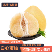 福建白心蜜柚 新鲜应季水果现摘酸甜多汁可口白肉蜜柚 非红心蜜柚