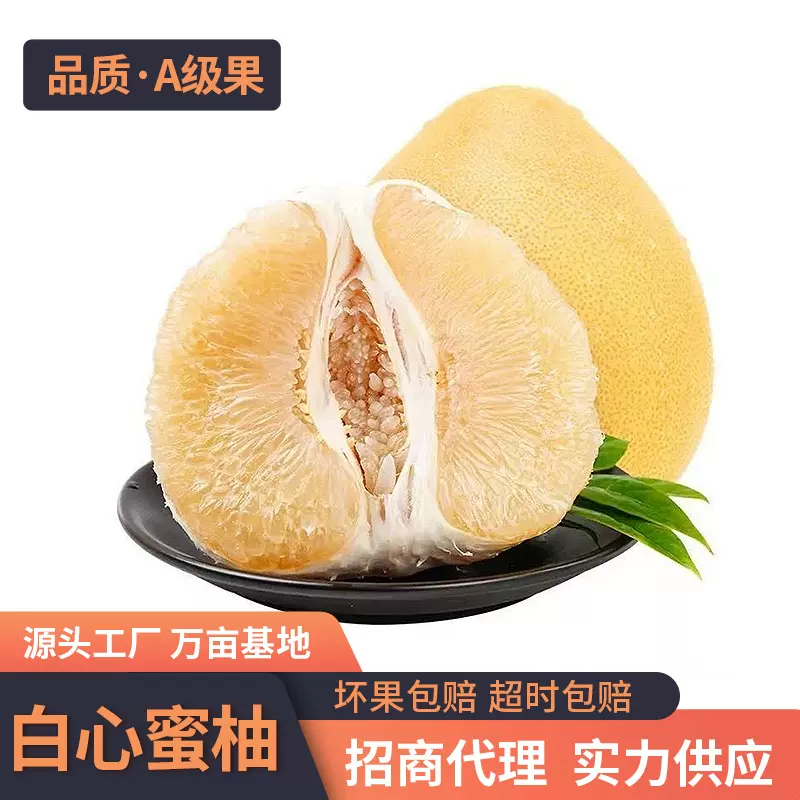 福建白心蜜柚 新鲜应季水果现摘酸甜多汁可口白肉蜜柚 非红心蜜柚