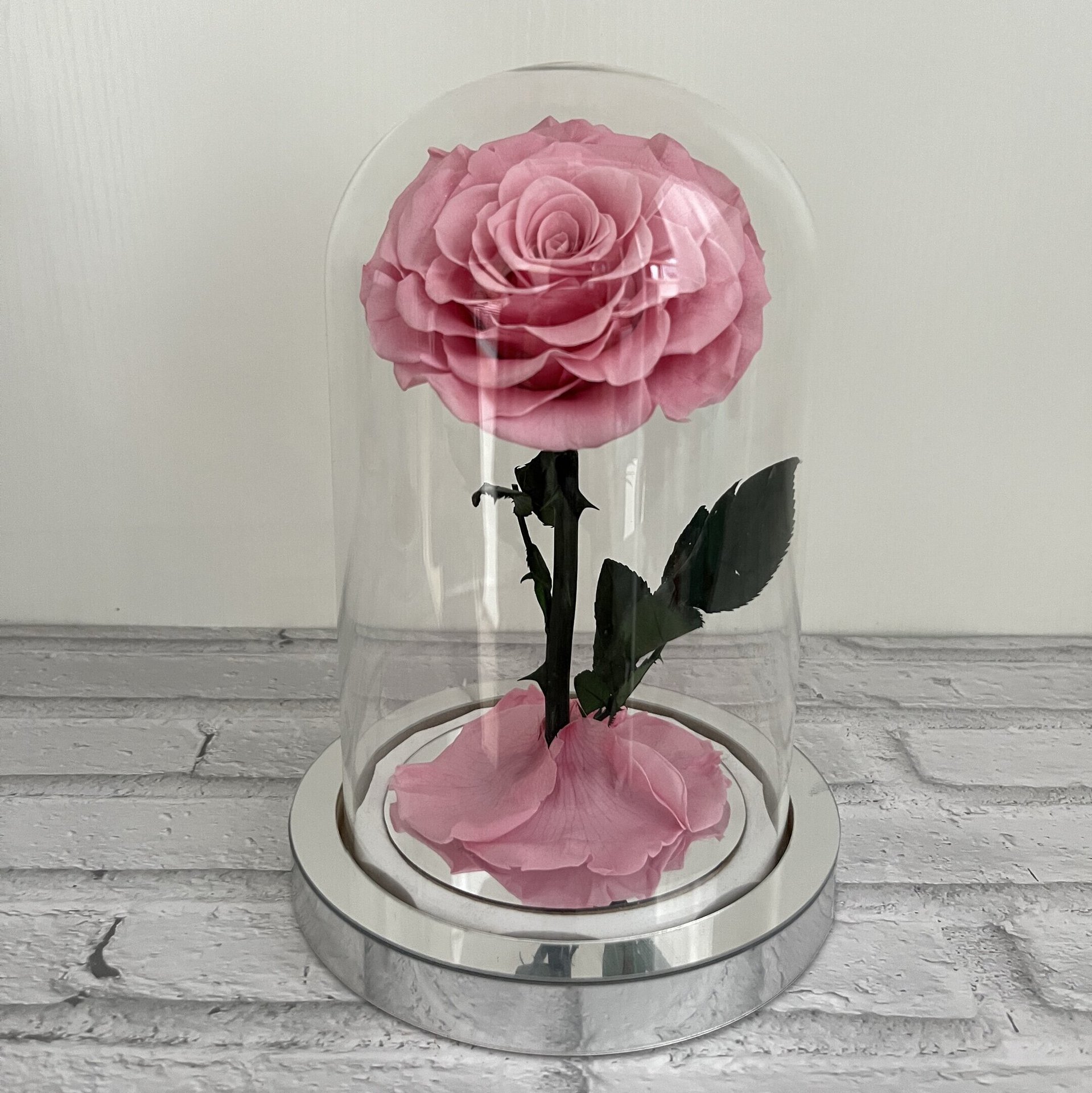 빛이 없는 사쿠라 핑크 실버 베이스와 선물 상자