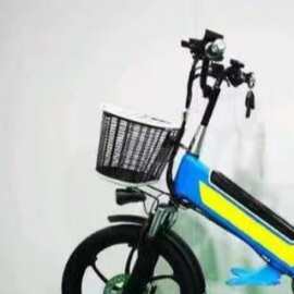 2025新款跨境南美电动车家用脚踏板男女通勤车高碳钢电瓶车图片色