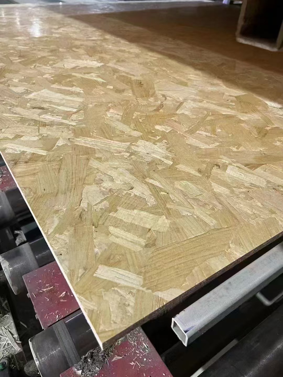 微信图片_20250121152505