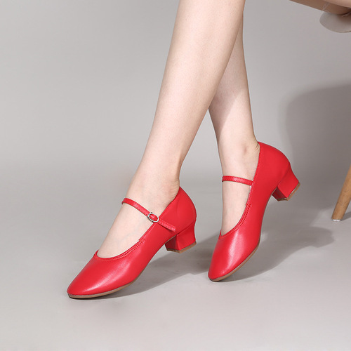 2024 Cross-border New Latin Dance Square Dance Shoes Soft Sole Dance Shoes Women's Modern Dance Shoes Performance Teacher Shoes