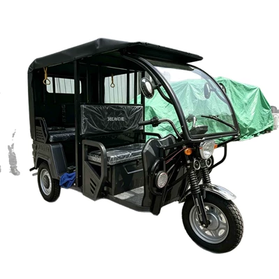 for Transporting Passengers and Cargo, Sərnişin üçtəkərli motosikllar