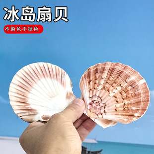 ��Ȼ���ݱ��u��ؐ�~�׵�̨�[�O�zӰ����ؐ����Ȼؐ���҃Ȕ[���ÿ�