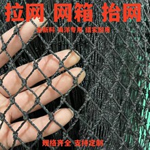 定制黑聚乙烯扬子料渔网拉网网箱台网清塘网鱼网网片捕鱼网养鱼箱