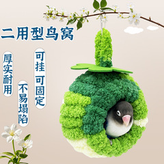 鳥の巣のオウムの巣は小鳥の巣の綿の巣を掛けます。