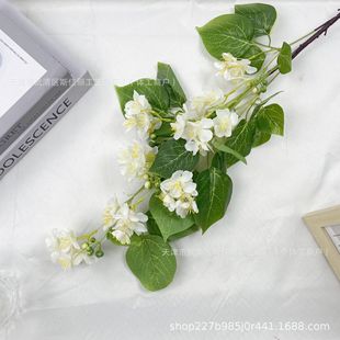 鱘仨����u�X����~�҃��b�ܛ�b�����쾰���Q�ѻ��ٻ����컨