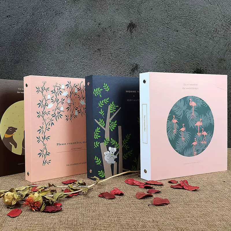 Образец, система хранения для студентов, творческий фотоколлекция альбом handmade, DIY