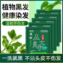 一洗五贝子泡泡植物纯黑色染发剂染发膏自己染盖白发正品黑遮白发
