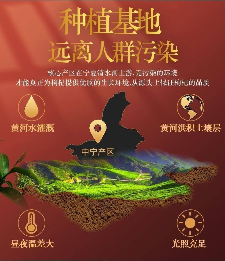 Ningxia Goji Berries Gou Qi Zi Premium Grade Dried Lycium Barbarum for Tea Wine and Cooking 250g Jar specifications