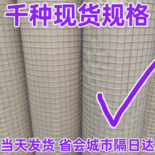 镀锌电焊网建筑保温抹墙网超细防裂粉墙抹灰网挂网卷出口钢丝网