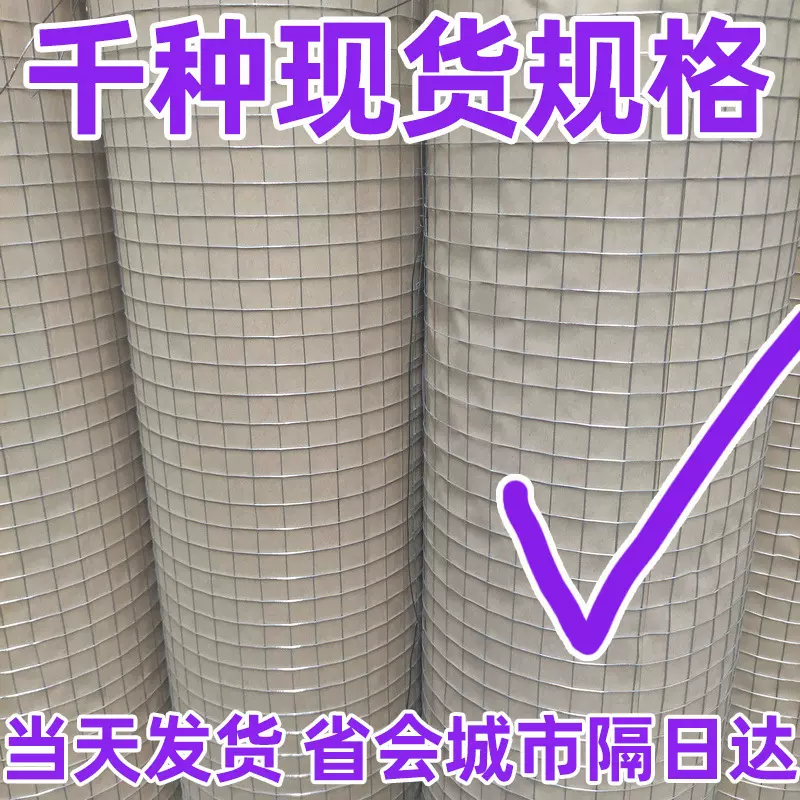 镀锌电焊网建筑保温抹墙网超细防裂粉墙抹灰网挂网卷出口钢丝网