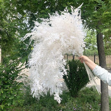 ��ɫϵ��c���滨 ��Y�õ�픲廨���b����ϼٻ����컨���S��