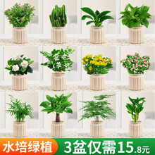 lؔԾG}jֲdӻGֲk҃ȶˮB