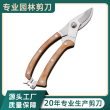 鸟嘴园林粗枝剪刀园艺修剪工具水曲柳木柄园林剪修枝剪刀稀果剪刀