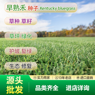Direct Sales from the Source: Blue Label Early-Maturing Grass Seeds, Slope Protection Grass Seeds, Engineering Seeds, Mixed Sowing, Evergreen All Year Round, Excellent Lawn