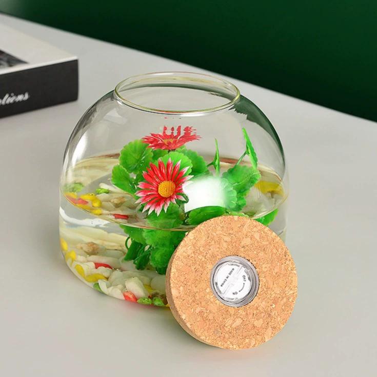 Космическая экологическая стеклянная бутылка с лампой деревянная пробка для хранения вулканическая бутылка прозрачная гидропонная многоплотная микроландшафтная бутылка экологическая аквариум
