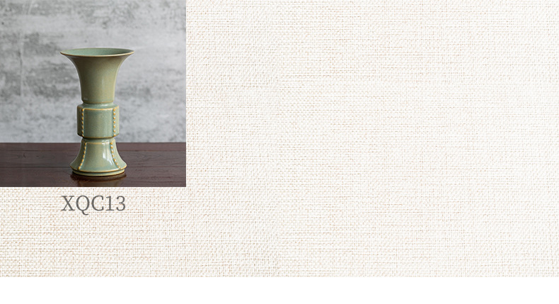 O1CN01CUV1u424LLCq9dXC0_!!5292