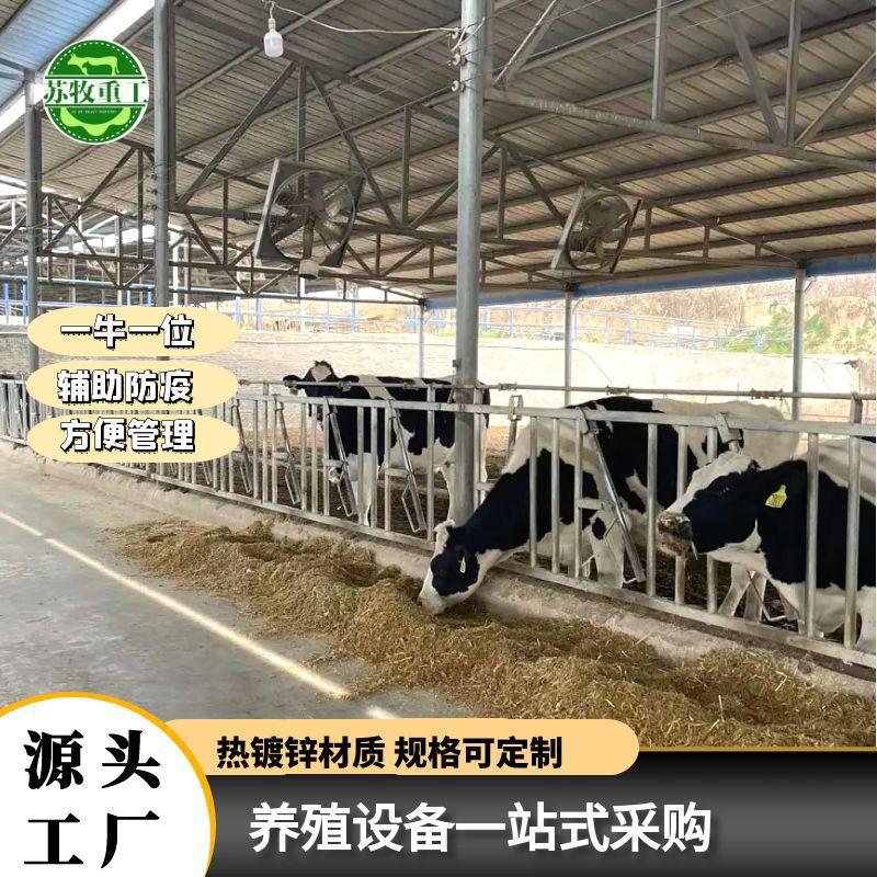 苏牧重工加厚自锁式牛颈枷热镀锌牛限位栏新型辅助防疫牛颈夹定制