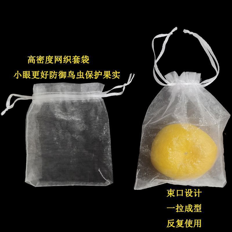 4d4589c2-d11c-46f7-9062-009eb8ba324e.jpe