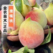 �޽������Ҙ��������ҹ�����ˮ���Ҙ��ϱ����Nֲ���Ե��Ԯ���Y��