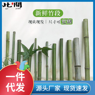 ���l?���r����������С���ӻ�c��ˇ�b@��֧�ܹ��@�����С