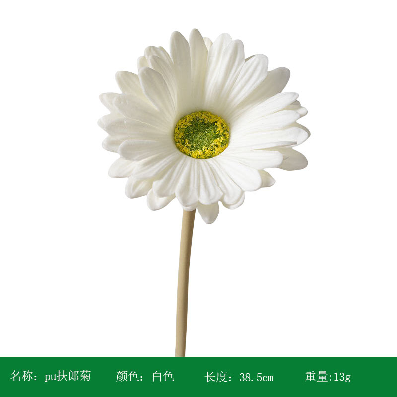 하얀색