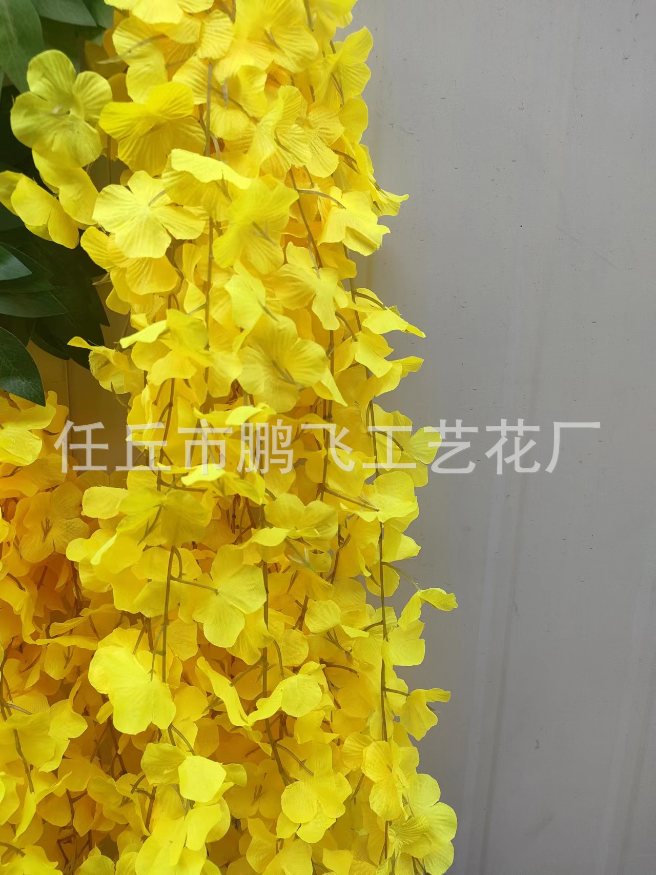 微信图片_20220720072741.jpg