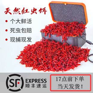 �ش�t�x���D�r��ڿ����DС�x����ﶬҰឺ��^���x�a�~�D�z����