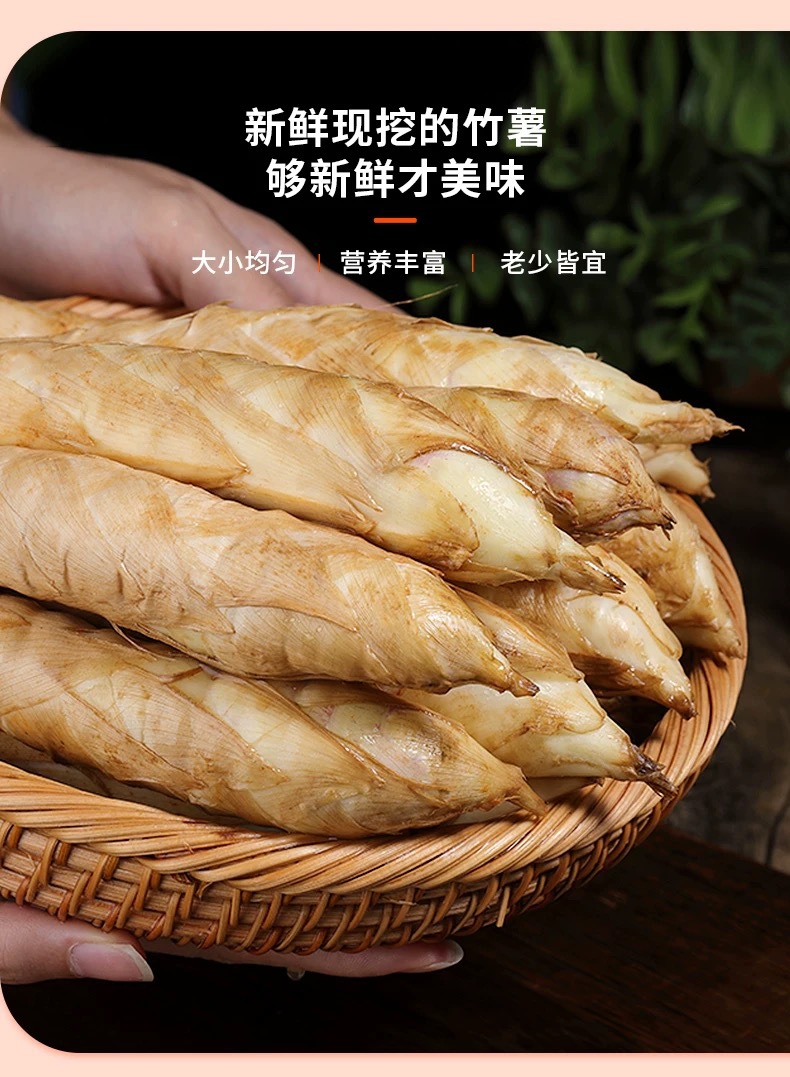 广东高州源头产区竹薯大量批发当季新鲜竹芋现挖现发无渣冬粉薯-阿里巴巴