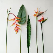 ߶˴BٻҾbˇ[ӰgQmzӰ