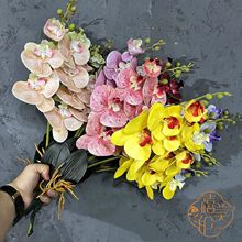 PU感保湿家居装饰摆件中国风造景肉感精致无暇仿真花湿感蝴蝶兰